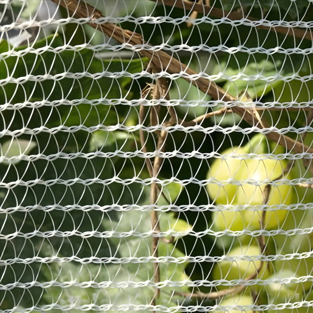 Original Material HDPE Anti UV Hail Net Factory