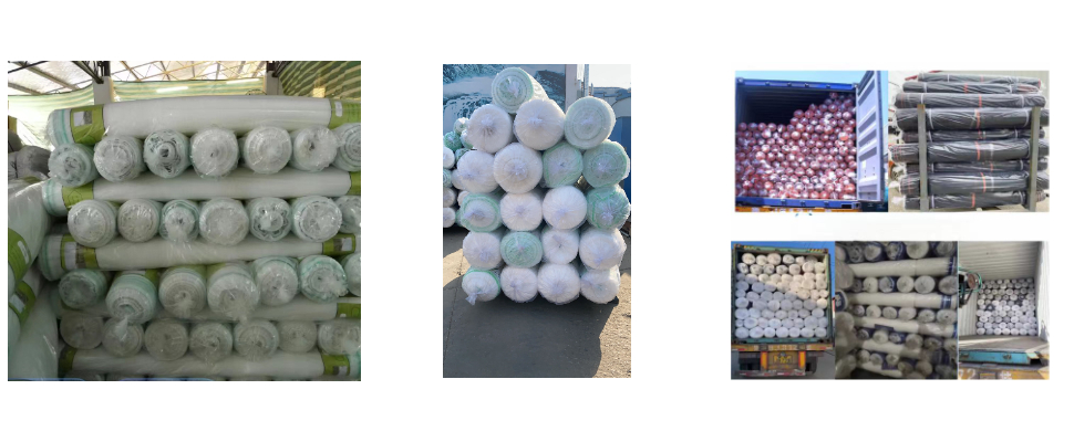 Triangle durable maille 3m de large HDPE protection contre la grêle pour le jardin