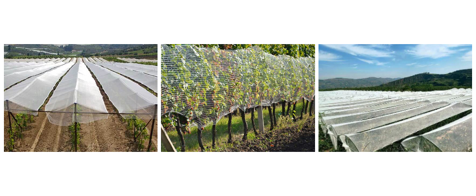 Filet anti-grêle en plastique pour jardins, fabriqué en Chine