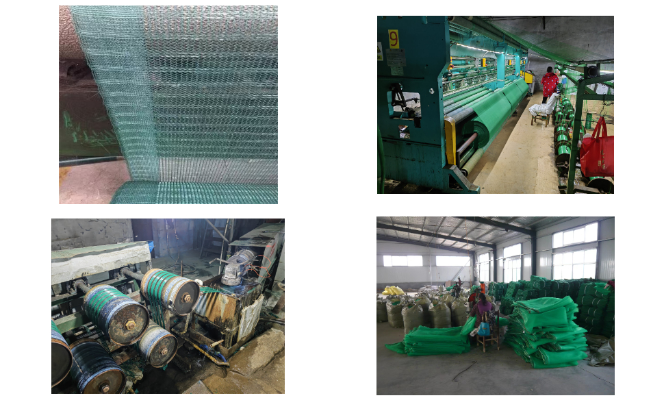 Fournisseur de filets de récolte d'olives à vendre