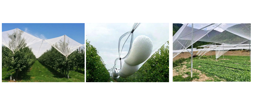 Filet anti-grêle à rayures jaunes de 4 m de large pour Apple