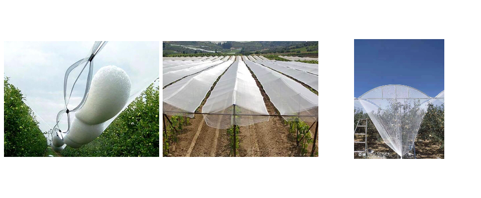 Technical China Factory Blue Edge 150GSM Plant Hail Protection