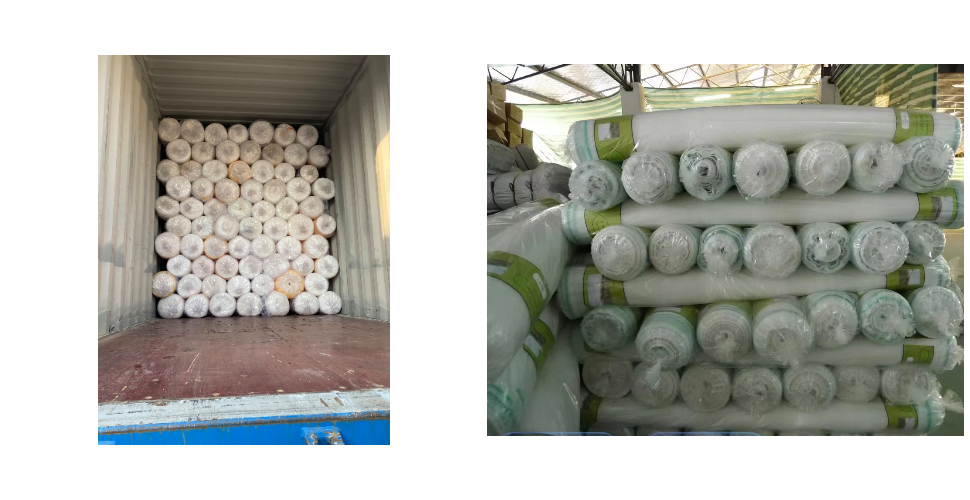 مصنع زيتون نت، تاجر زيتون نت بالجملة