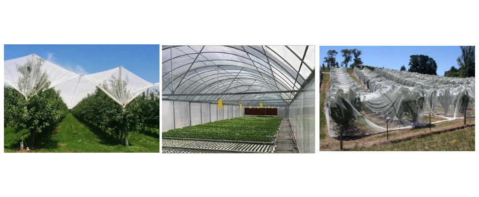 2m x 50m Long Hail Net 2m x 50m Long Hail Net