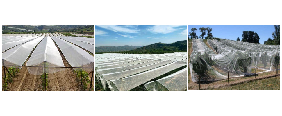 Fournisseur de filets anti-grêle pour jardins