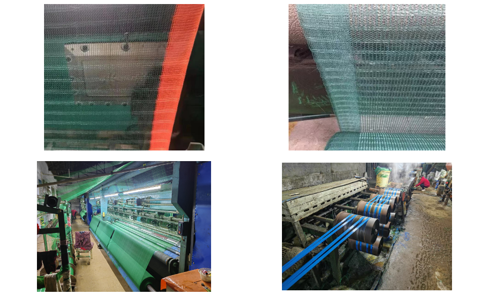 Fournisseur de filets de récolte d'olives