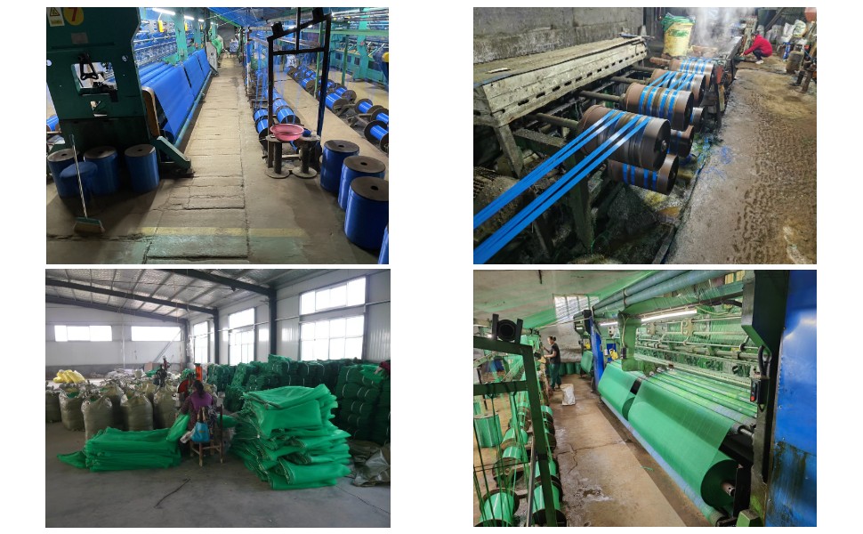 Olive Tree Net Wholesale Price