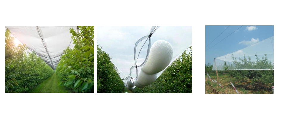 Red antigranizo de 50 a 80 metros de largo Red antigranizo de 50 a 80 metros de largo