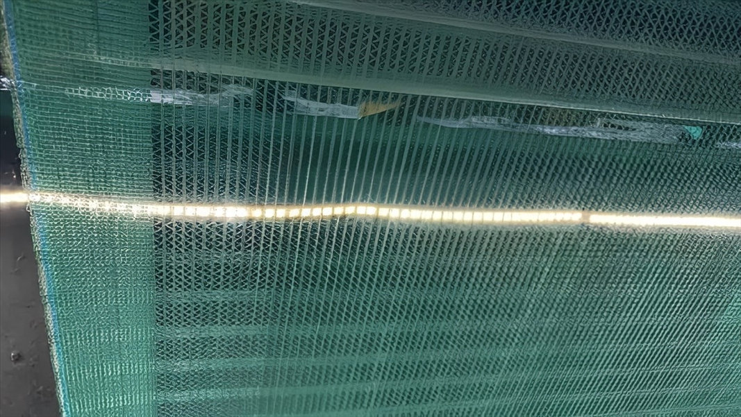 Olive Tree Netting Supplier Olive Tree Netting Supplier