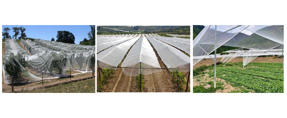 Net de grêle du HDPE