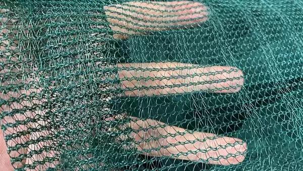 Black And Green Olive Net