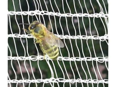 Anti-bee Net