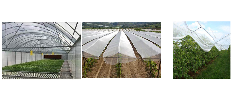 Fournisseurs de filets anti-grêle à prix de gros