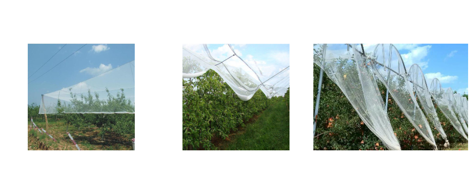 Tissu anti-grêle original de 3 m de large, 60 g par mètre carré