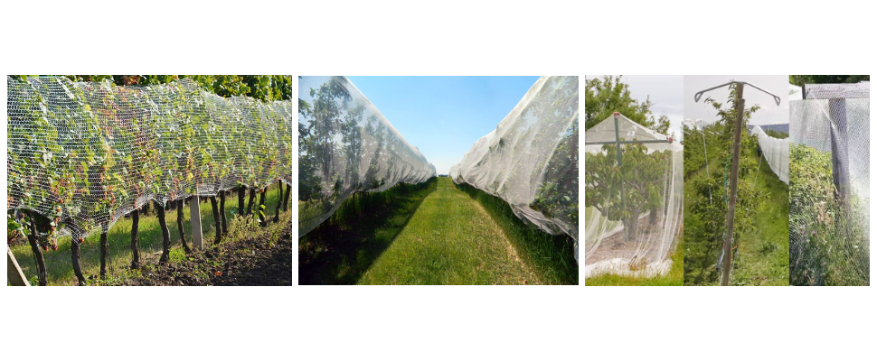 Filet anti-grêle de 10 à 40 mètres de long