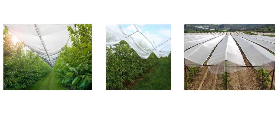 Hail Cloth Garden Wholesale Price  Hail Cloth Garden Wholesale Price