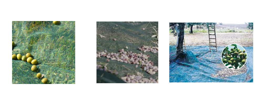 Venta al por mayor de redes para la recolección de aceitunas Venta al por mayor de redes para la recolección de aceitunas