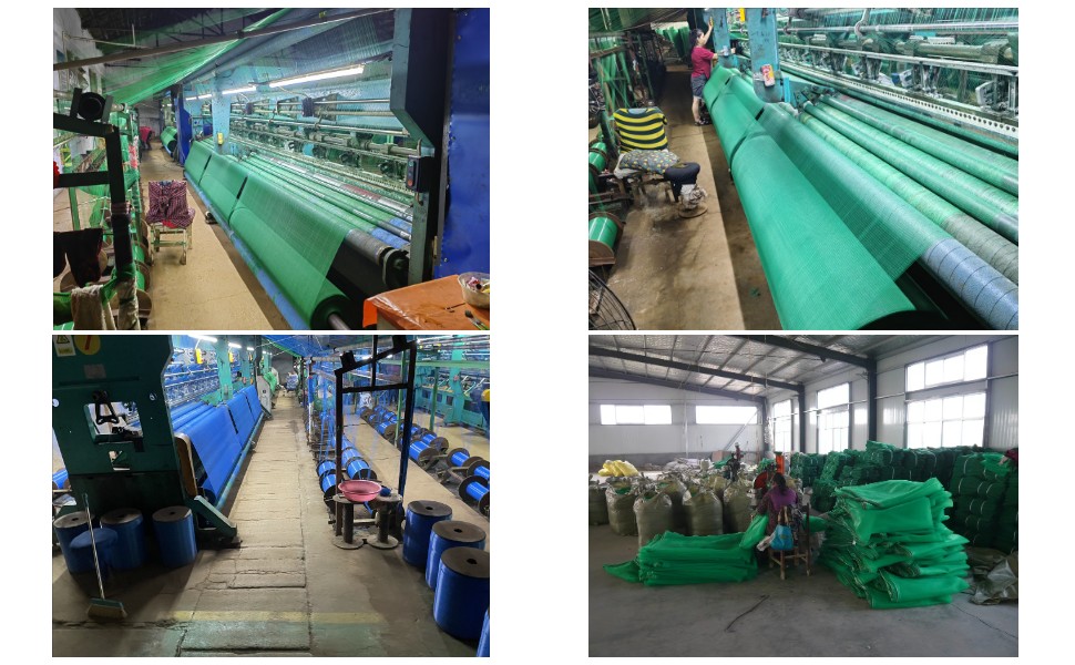 Precio al por mayor de redes de oliva Precio al por mayor de redes de oliva