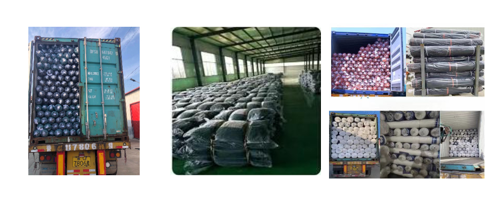 Olive Tree Net Wholesale Price