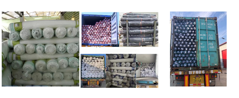 Specializing In The Production Of Pure Natural 100% HDPE Anti UV Plant Hail Protection Specializing In The Production Of Pure Natural 100% HDPE Anti UV Plant Hail Protection