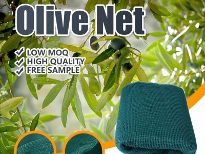 صافي الزيتون