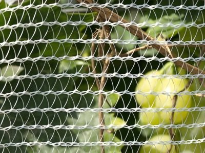 قماش البرد للحدائق