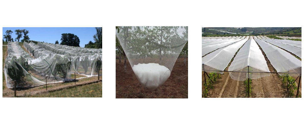 Fournisseur de filets anti-grêle pour jardins Fournisseur de filets anti-grêle pour jardins