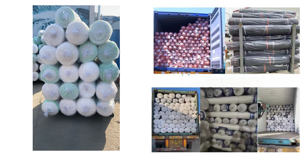 مصنع زيتون نت، تاجر زيتون نت بالجملة