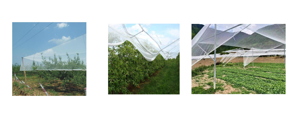 Filet anti-grêle anti-UV tricoté 120 g/m² pour voitures