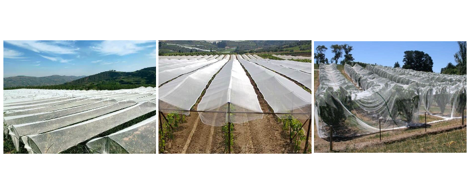 Filet anti-grêle à fonction UV