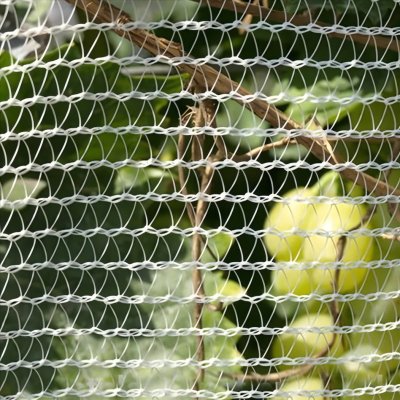 Strong Weather Resistant HDPE Plastic Hail Netting For Cars