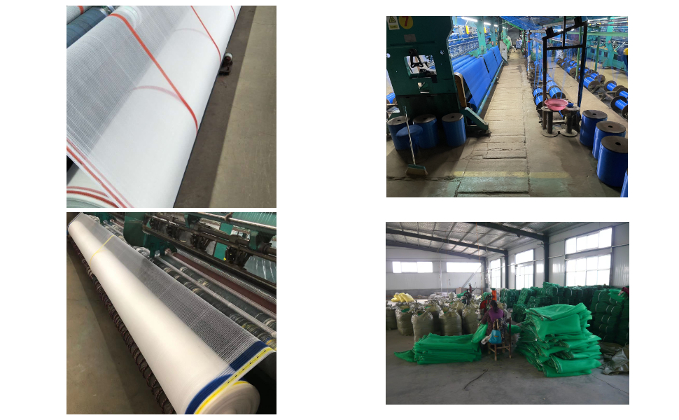 Prix net de la grêle du fournisseur Prix net de la grêle du fournisseur