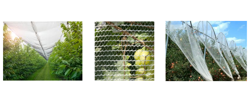 Filet anti-grêle en PEHD original à mailles triangulaires