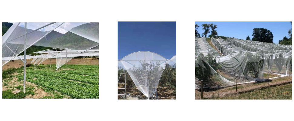 Malla antigranizo tejida de polietileno de alta densidad fuerte y resistente a la corrosión para jardines Malla antigranizo tejida de polietileno de alta densidad fuerte y resistente a la corrosión para jardines