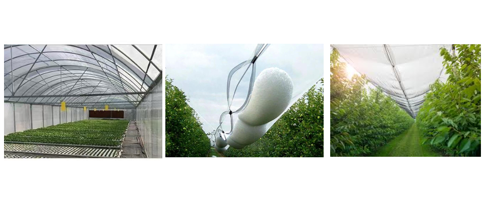 Red antigranizo: una