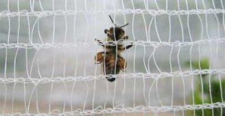Anti-bee Netting