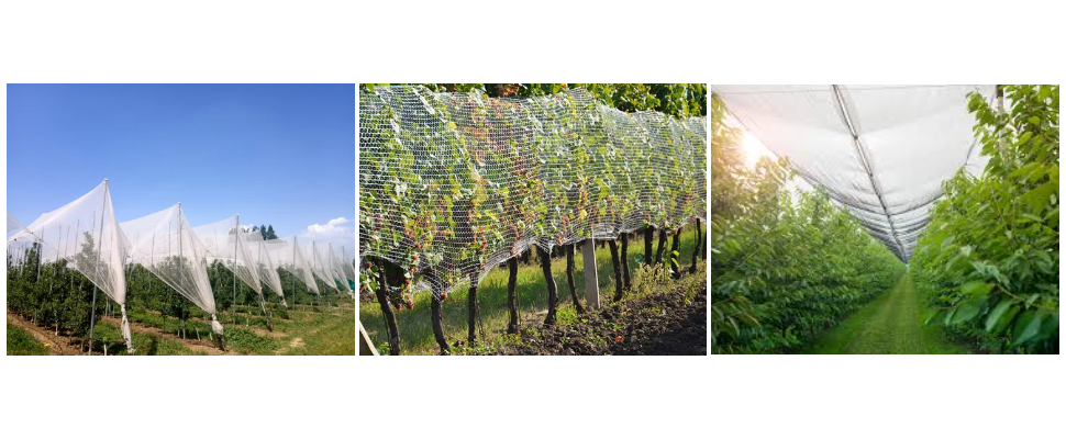 Red de granizo de plástico HDPE resistente a la intemperie fuerte para automóviles Red de granizo de plástico HDPE resistente a la intemperie fuerte para automóviles