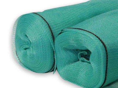 صافي الزيتون