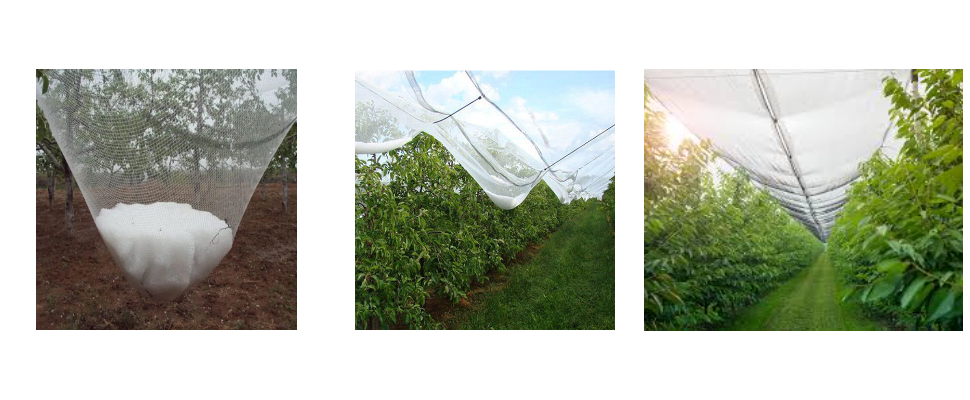 Durable Anti UV Plastic Hail Net For Plants Made In China