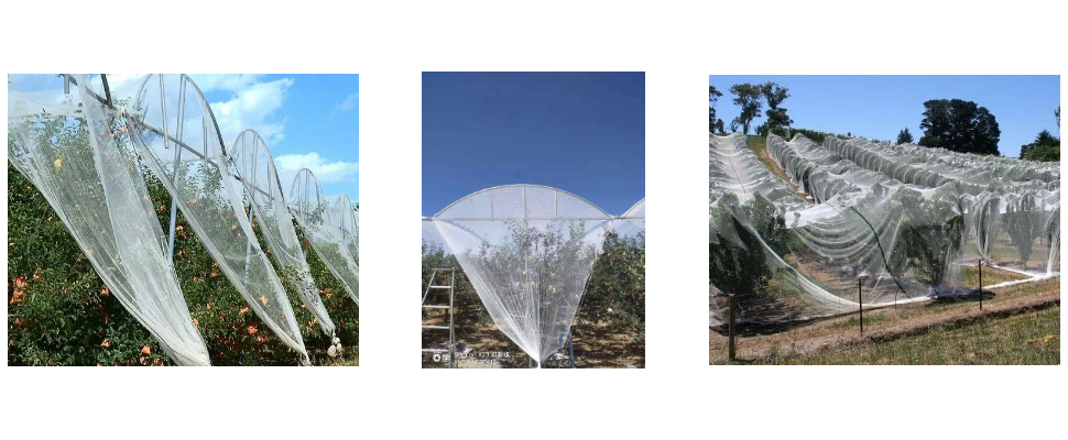 Red antigranizo de HDPE antioxidante liviana y duradera de 3 m de ancho para plantas Red antigranizo de HDPE antioxidante liviana y duradera de 3 m de ancho para plantas