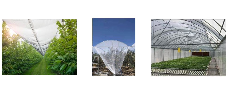 Supplier Anti Hail Net For Apple Price