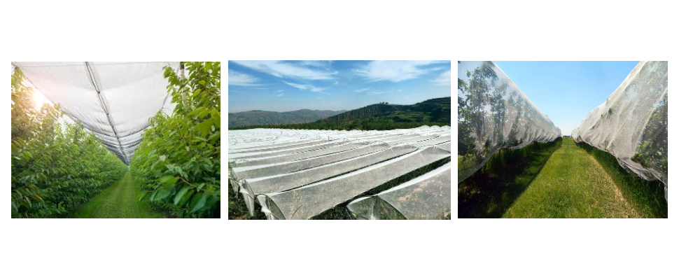 Prix ​​de gros du filet anti-grêle