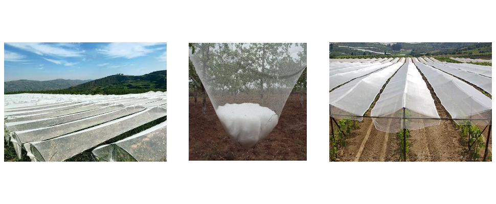 Hail Cloth Wholesale Price