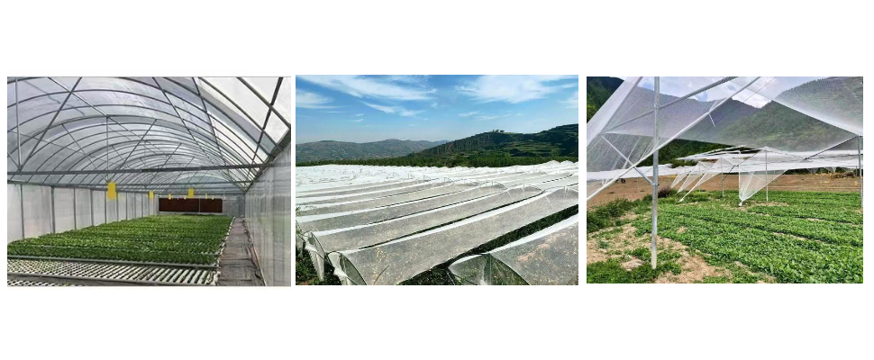 1m x 50m Long Hail Net 1m x 50m Long Hail Net