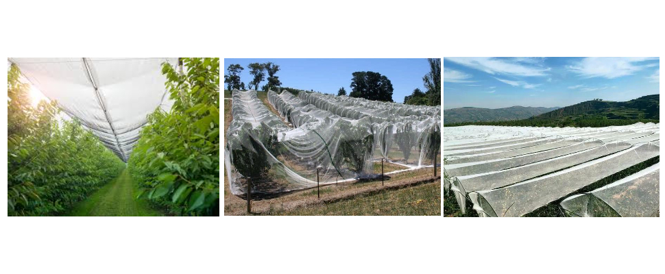 سعر الجملة لأقمشة الحدائق سعر الجملة لأقمشة الحدائق