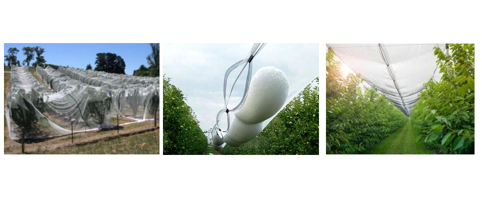 Triangle Mesh 50M Length 90GSM Factory Plastic Hail Netting For Sale