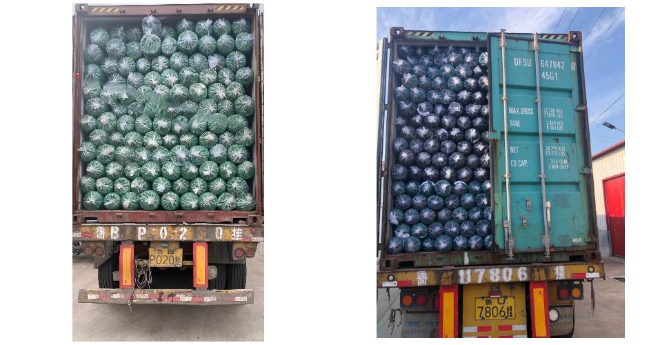 Usine de treillis pour échafaudages, grossiste en treillis pour échafaudages