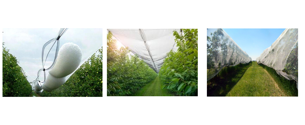 Anti Hail Net Wholesale Price