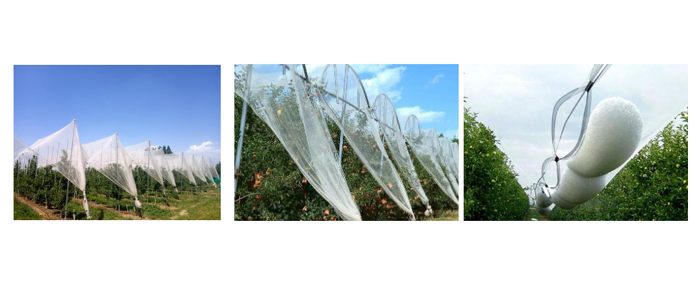 Filets anti-grêle pour vignobles à prix de gros Filets anti-grêle pour vignobles à prix de gros
