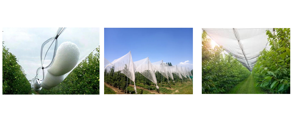 Prix net de la grêle du fournisseur Prix net de la grêle du fournisseur